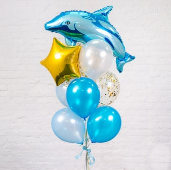 pre1 Funny Dolphin 2046 1 - Funny Dolphin